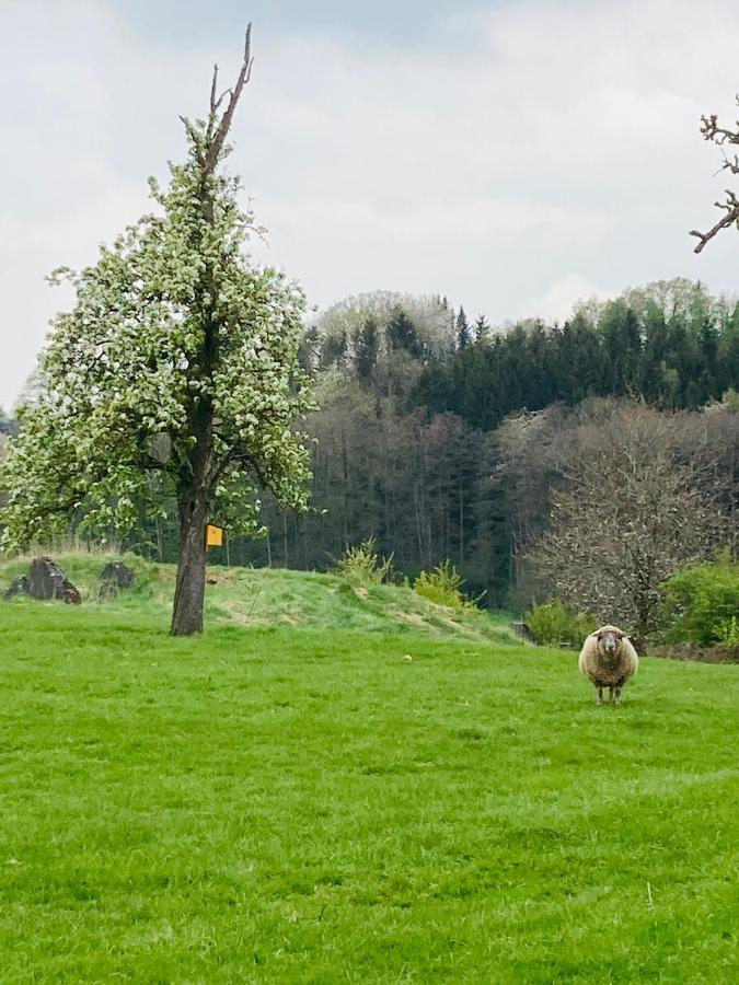 Gut Kalkhaeuschen, Ein Ort Mit Geschichte Lägenhet Aachen Exteriör bild