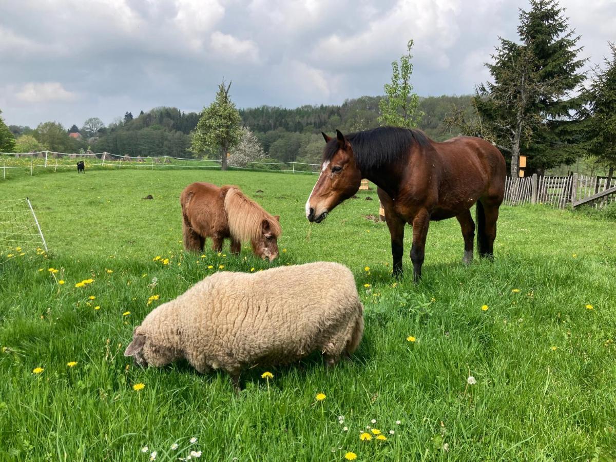 Gut Kalkhaeuschen, Ein Ort Mit Geschichte Lägenhet Aachen Exteriör bild